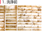 全自動洗濯機除菌クリーニング 洗浄前