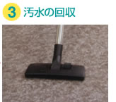 �n�[�h�t���A�̉����̉��